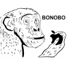 Bonobo JTAG/SWD Debug Cable